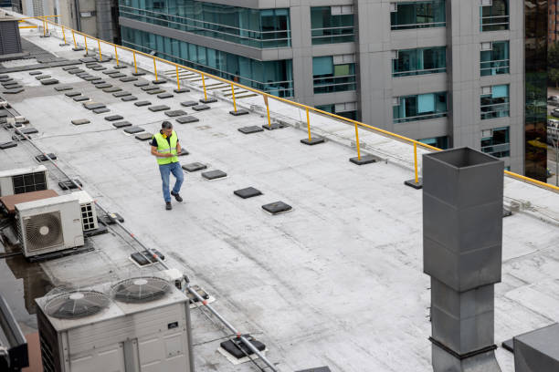 Best Roof Moss and Algae Removal  in Soldotna, AK