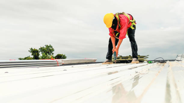 Best Roof Replacement  in Soldotna, AK