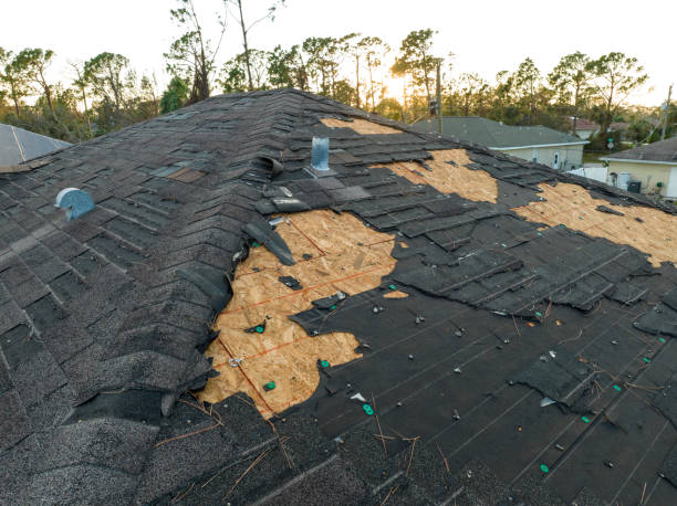 Best Roof Maintenance and Cleaning  in Soldotna, AK