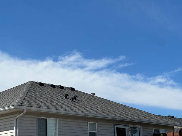Best Roof Leak Repair  in Soldotna, AK